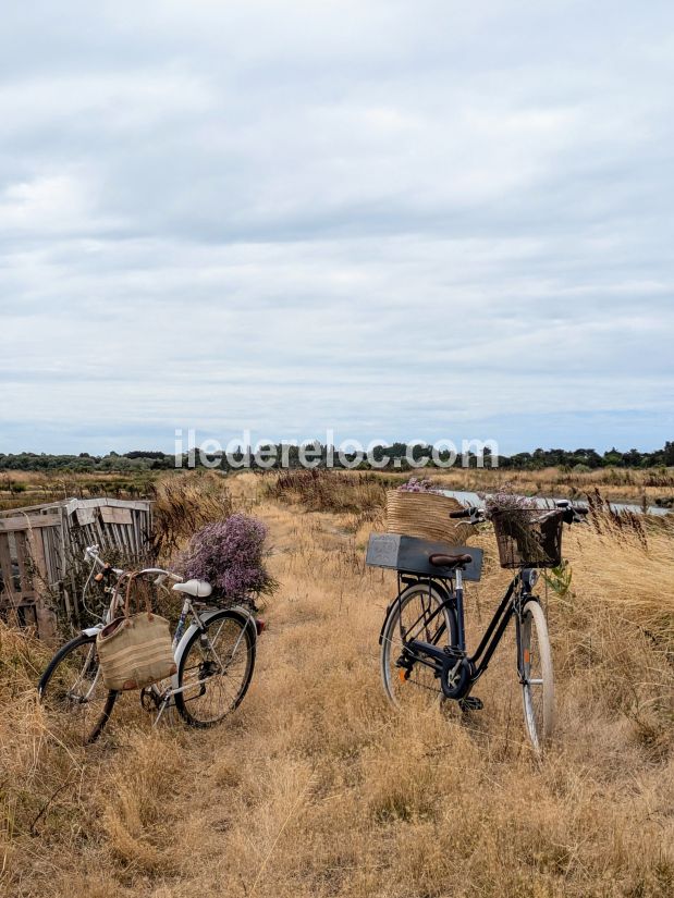 Photo 23 : NC d'une maison situ&eacute;e &agrave; La Couarde-sur-mer, &icirc;le de R&eacute;.