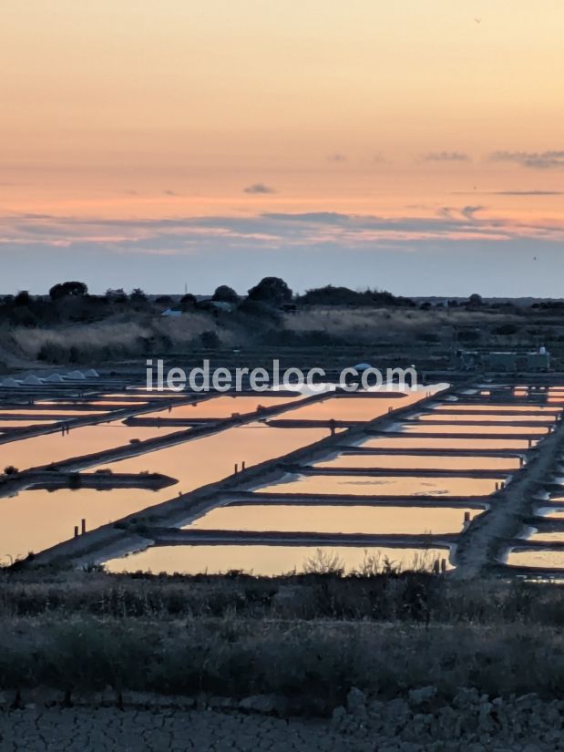 Photo 24 : NC d'une maison situ&eacute;e &agrave; La Couarde-sur-mer, &icirc;le de R&eacute;.