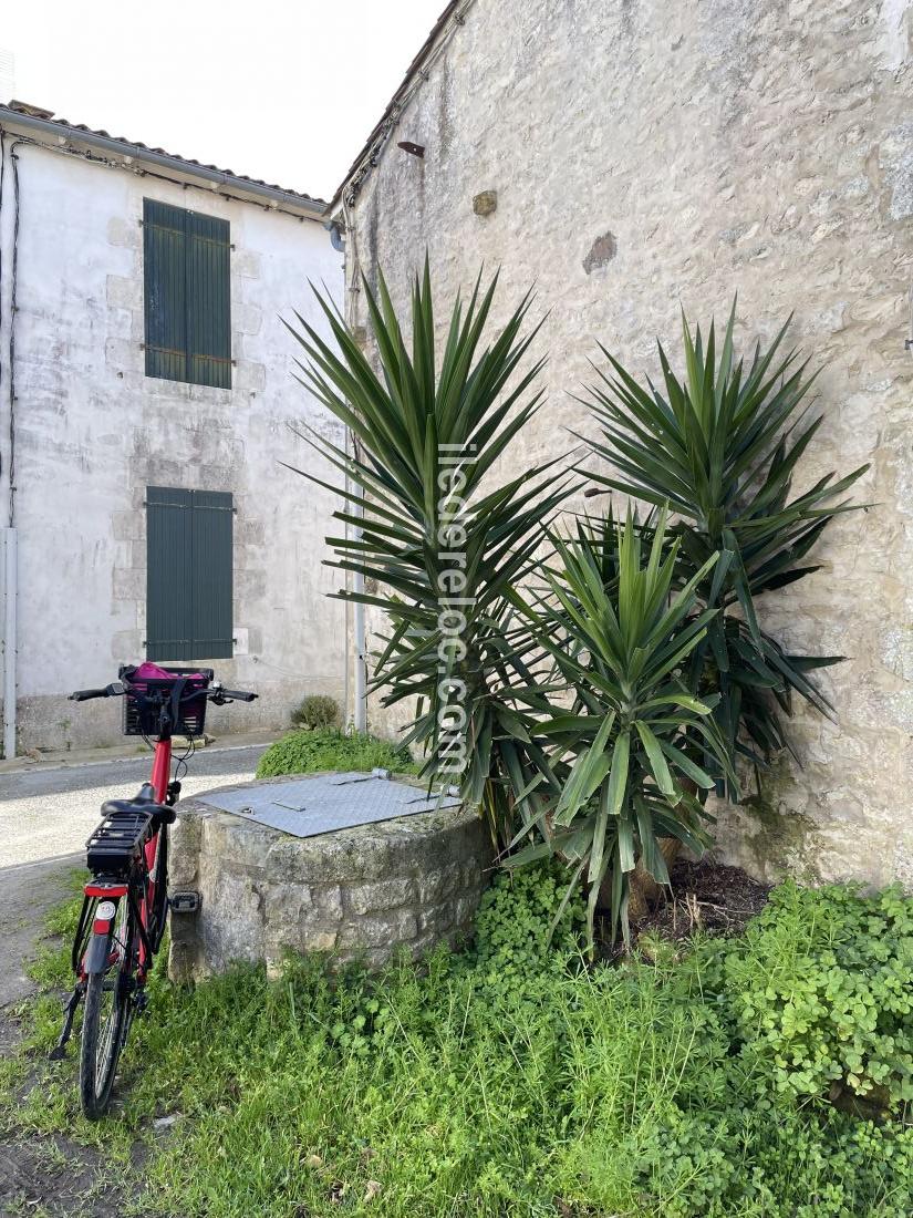 Photo 30 : EXTERIEUR d'une maison située à Sainte-Marie-de-Ré, île de Ré.