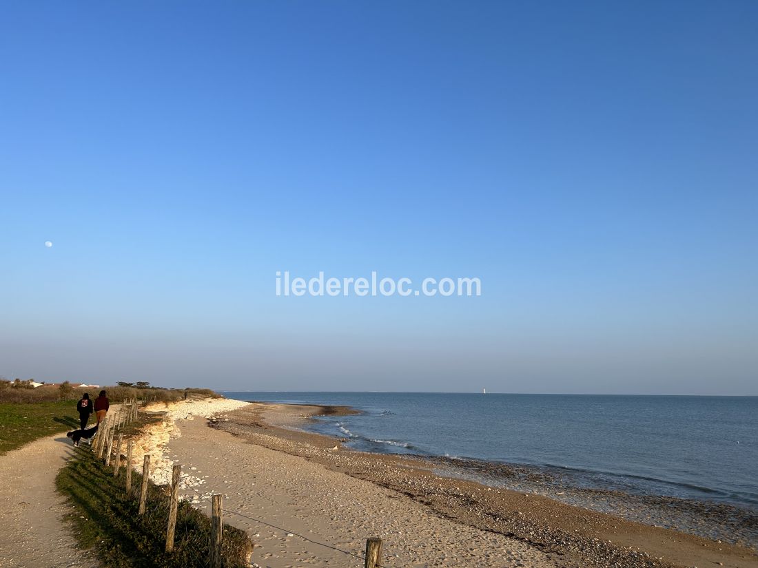 Photo 32 : EXTERIEUR d'une maison située à Sainte-Marie-de-Ré, île de Ré.