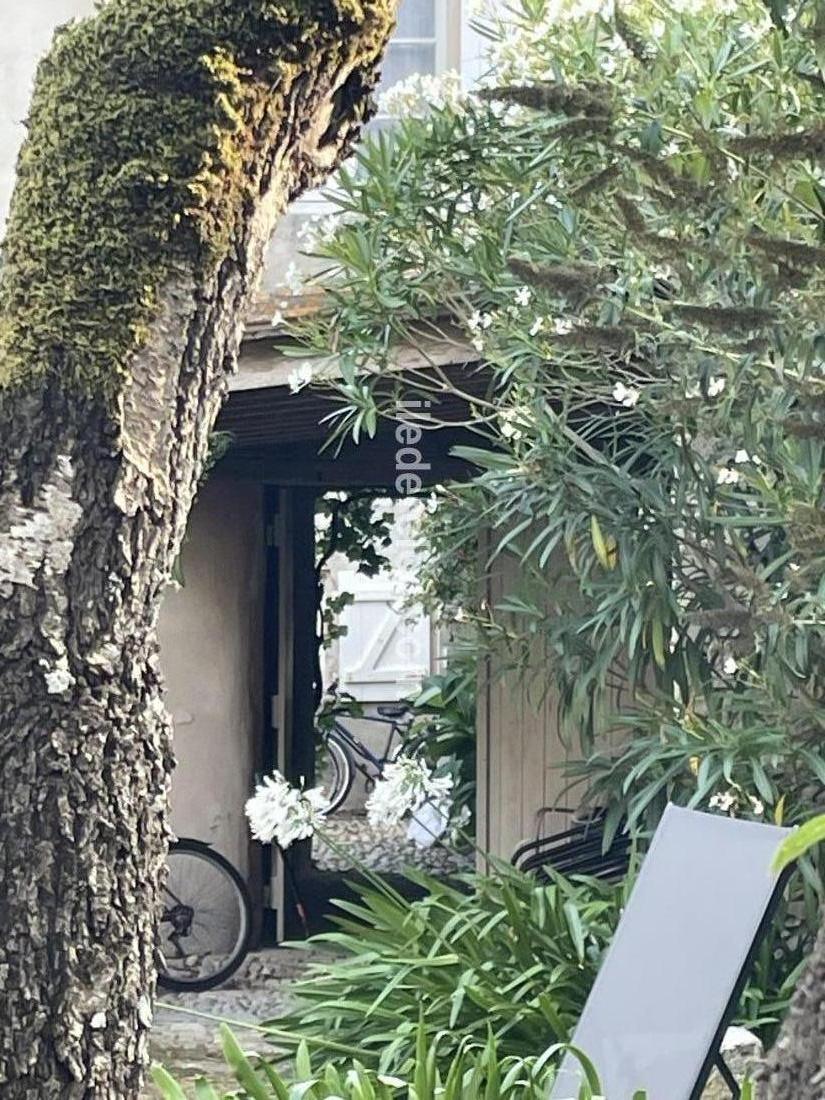 Photo 18 : EXTERIEUR d'une maison située à La Couarde-sur-mer, île de Ré.