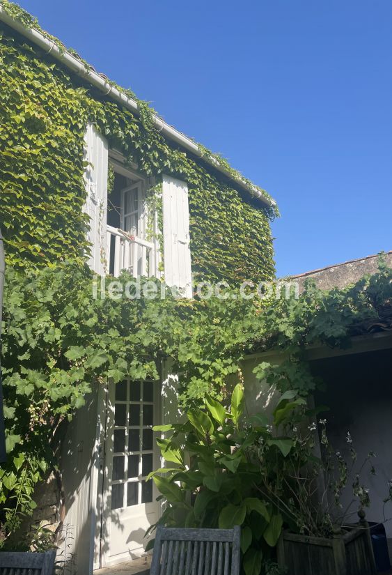 Photo 4 : PATIO d'une maison située à La Couarde-sur-mer, île de Ré.