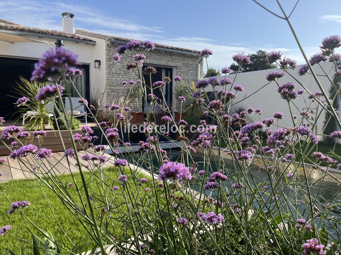 Photo 17 : NC d'une maison située à La Flotte-en-Ré, île de Ré.