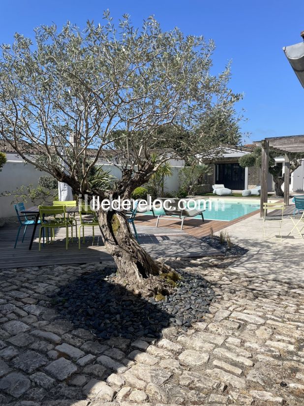 Photo 20 : JARDIN d'une maison située à Le Bois-Plage-en-Ré, île de Ré.