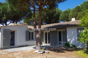 Ile de Ré:Sous les pins, au pied des dunes, une belle maison familiale vous attend