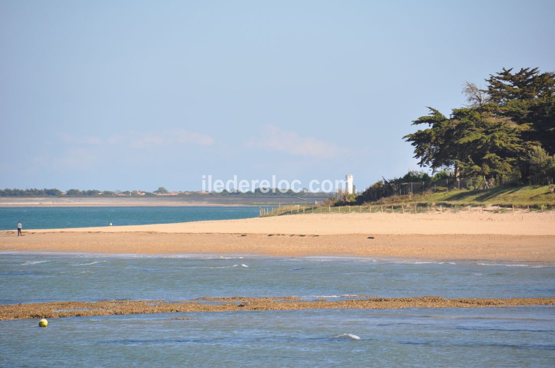 Photo 47 : AUTRE d'une maison située à Les Portes-en-Ré, île de Ré.