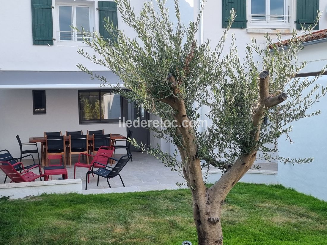 Photo 3 : JARDIN d'une maison située à La Couarde-sur-mer, île de Ré.