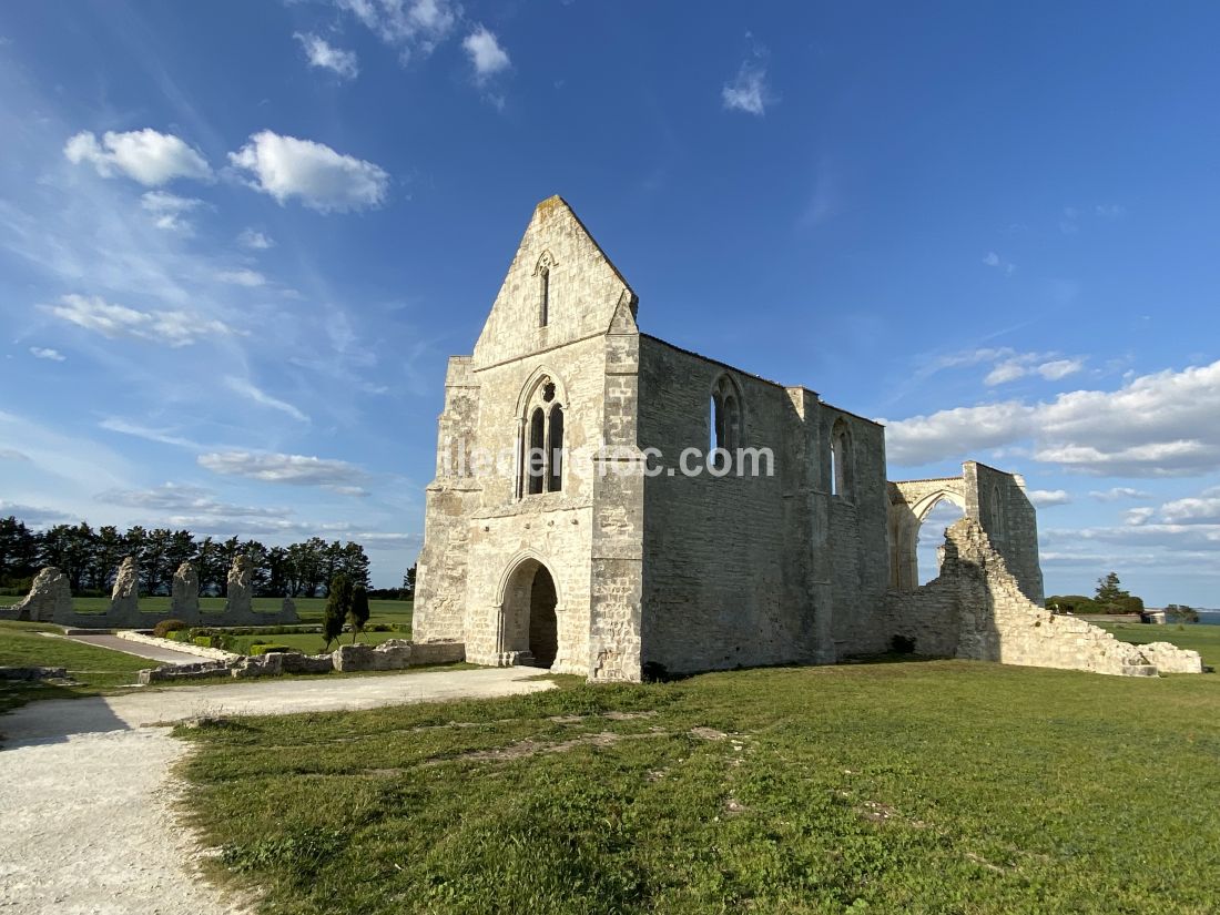 Photo 16 : AUTRE d'une maison située à Sainte-Marie-de-Ré, île de Ré.