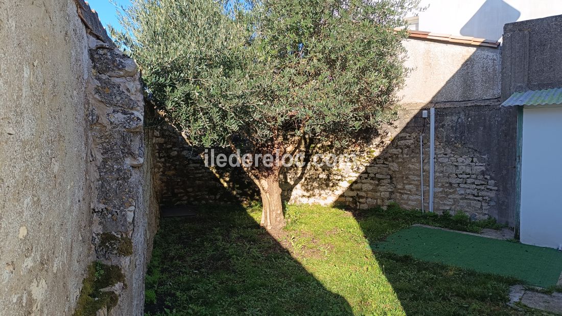 Photo 6 : NC d'une maison situ&eacute;e &agrave; La Flotte-en-R&eacute;, &icirc;le de R&eacute;.