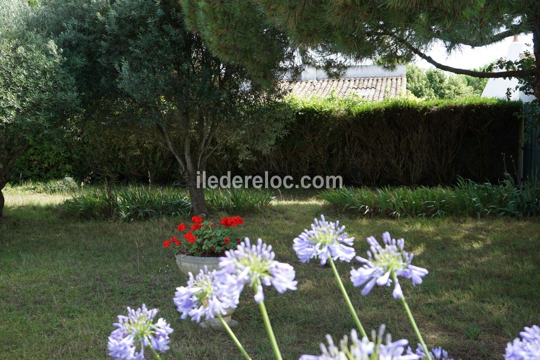 Photo 8 : NC d'une maison située à Loix, île de Ré.