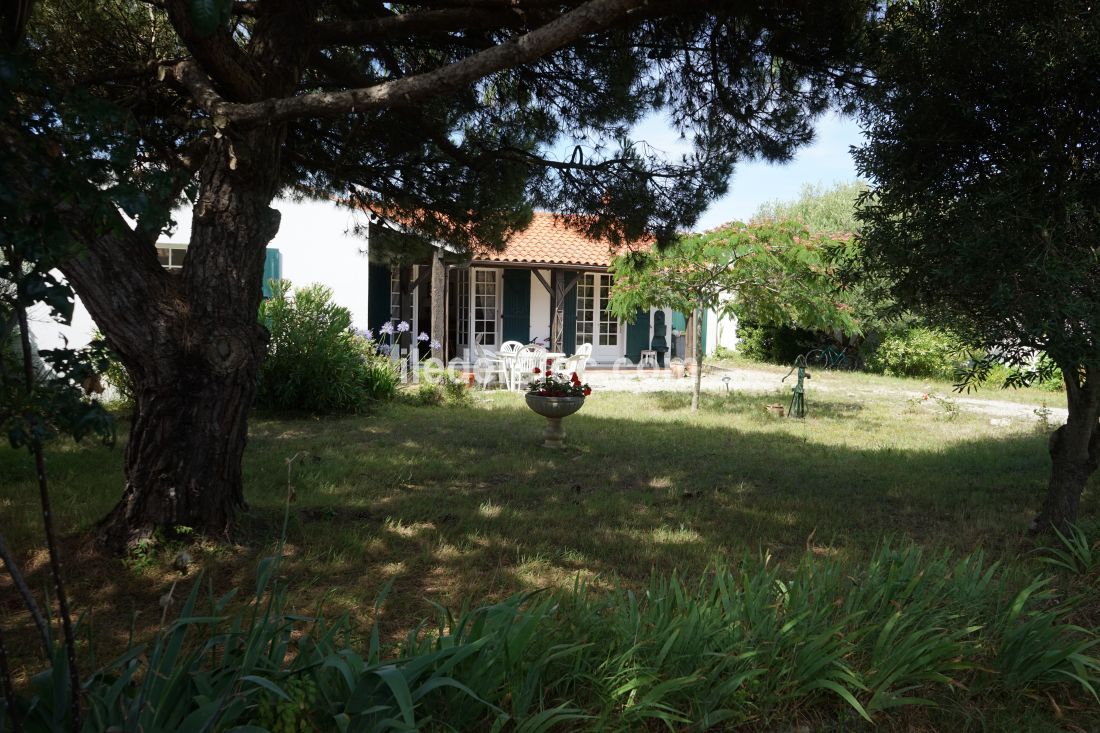 Photo 11 : NC d'une maison située à Loix, île de Ré.