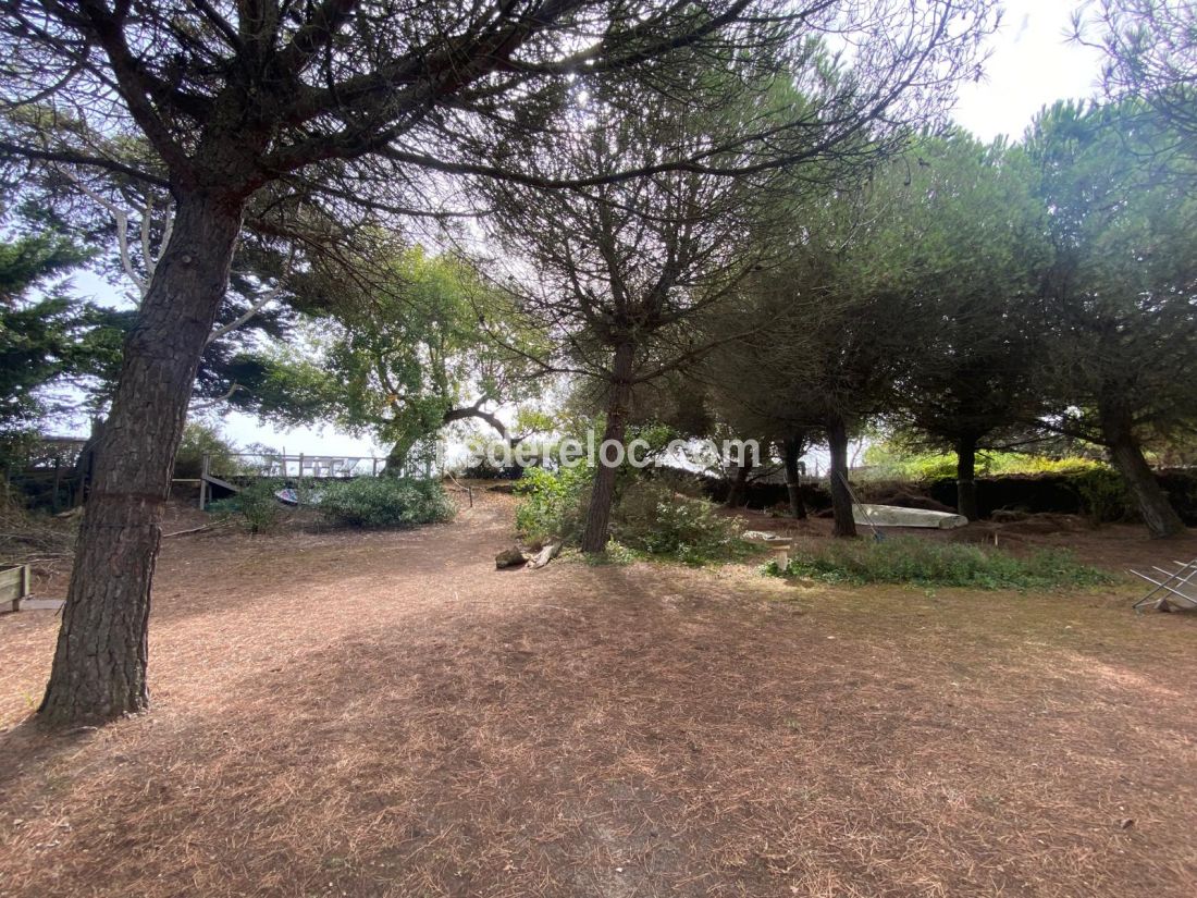 Photo 2 : NC d'une maison située à Les Portes-en-Ré, île de Ré.