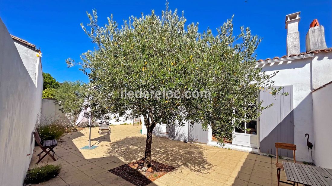 Photo 14 : TERRASSE d'une maison située à La Flotte-en-Ré, île de Ré.