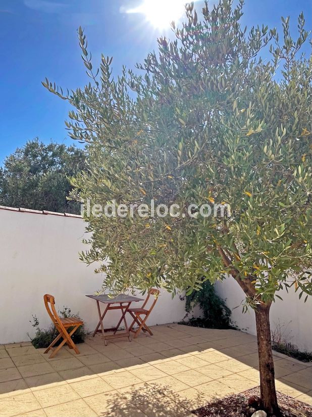 Photo 9 : TERRASSE d'une maison située à La Flotte-en-Ré, île de Ré.