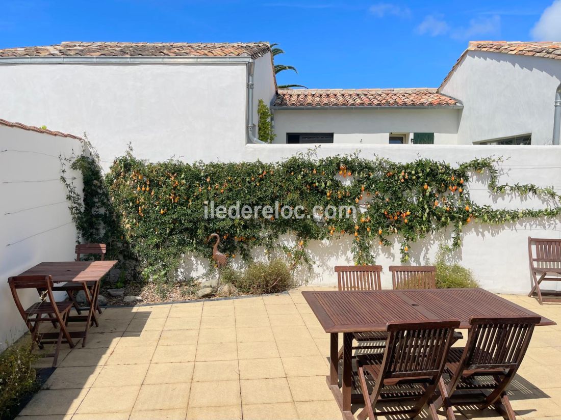 Photo 17 : TERRASSE d'une maison située à La Flotte-en-Ré, île de Ré.