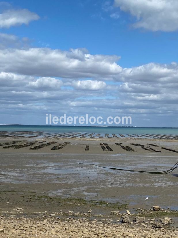 Photo 33 : NC d'une maison située à La Flotte-en-Ré, île de Ré.