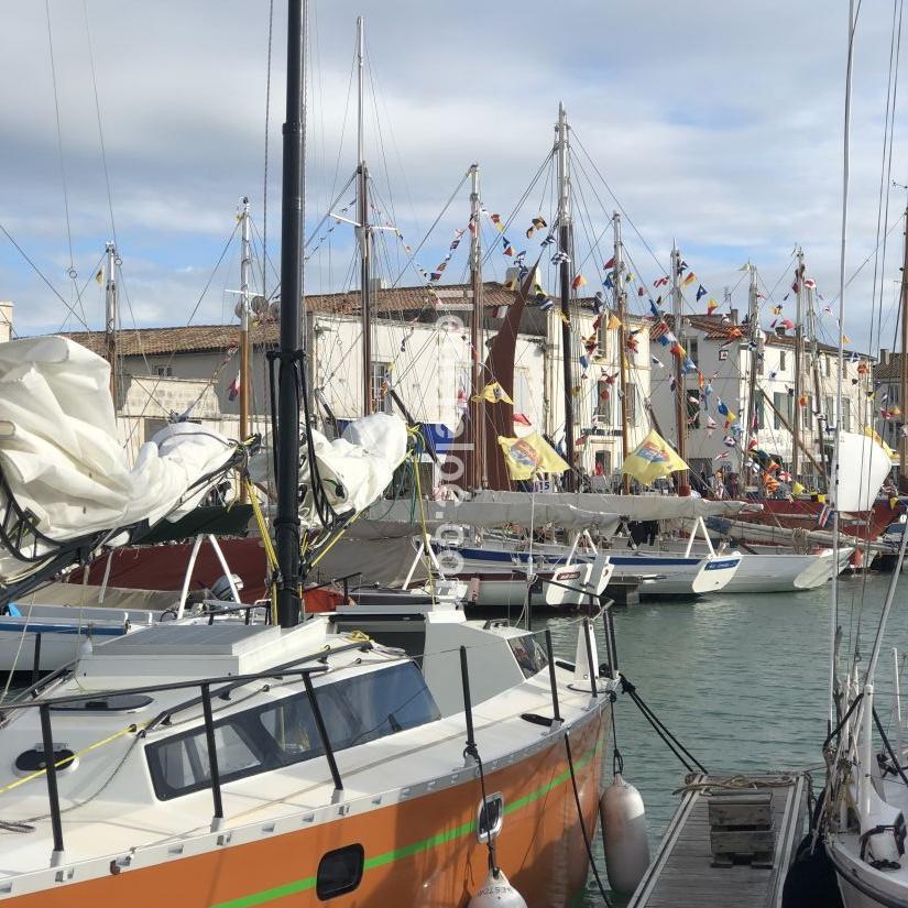 Photo 16 : AUTRE d'une maison située à La Flotte-en-Ré, île de Ré.