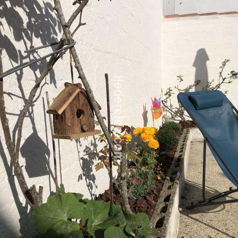 Photo 12 : PATIO d'une maison située à La Flotte-en-Ré, île de Ré.