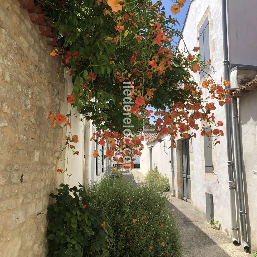 Photo 21 : AUTRE d'une maison située à La Flotte-en-Ré, île de Ré.