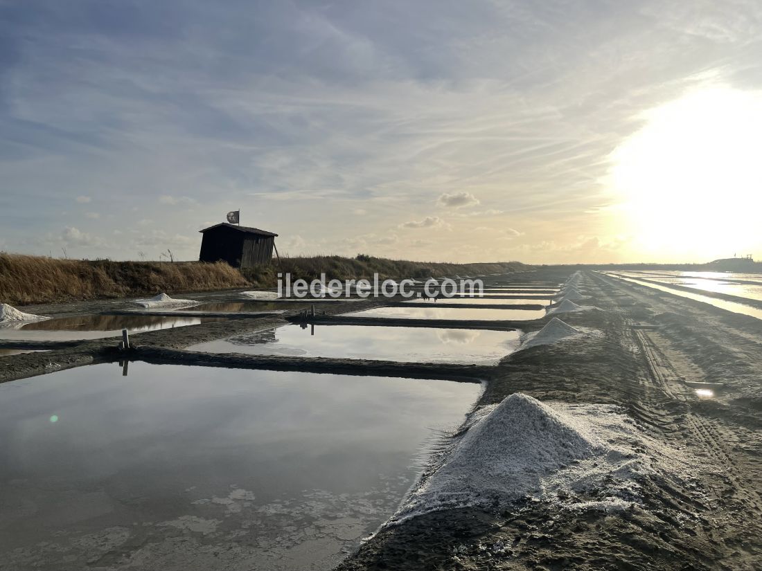 Photo 13 : EXTERIEUR d'une maison située à Loix, île de Ré.