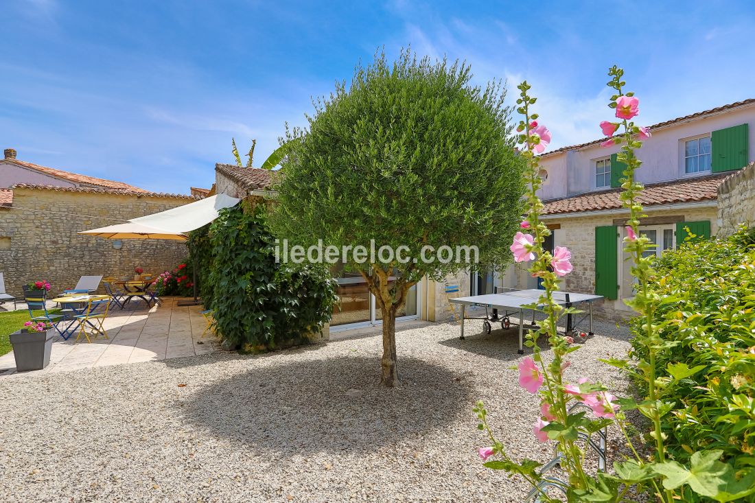 Photo 1 : JARDIN d'une maison située à La Flotte-en-Ré, île de Ré.