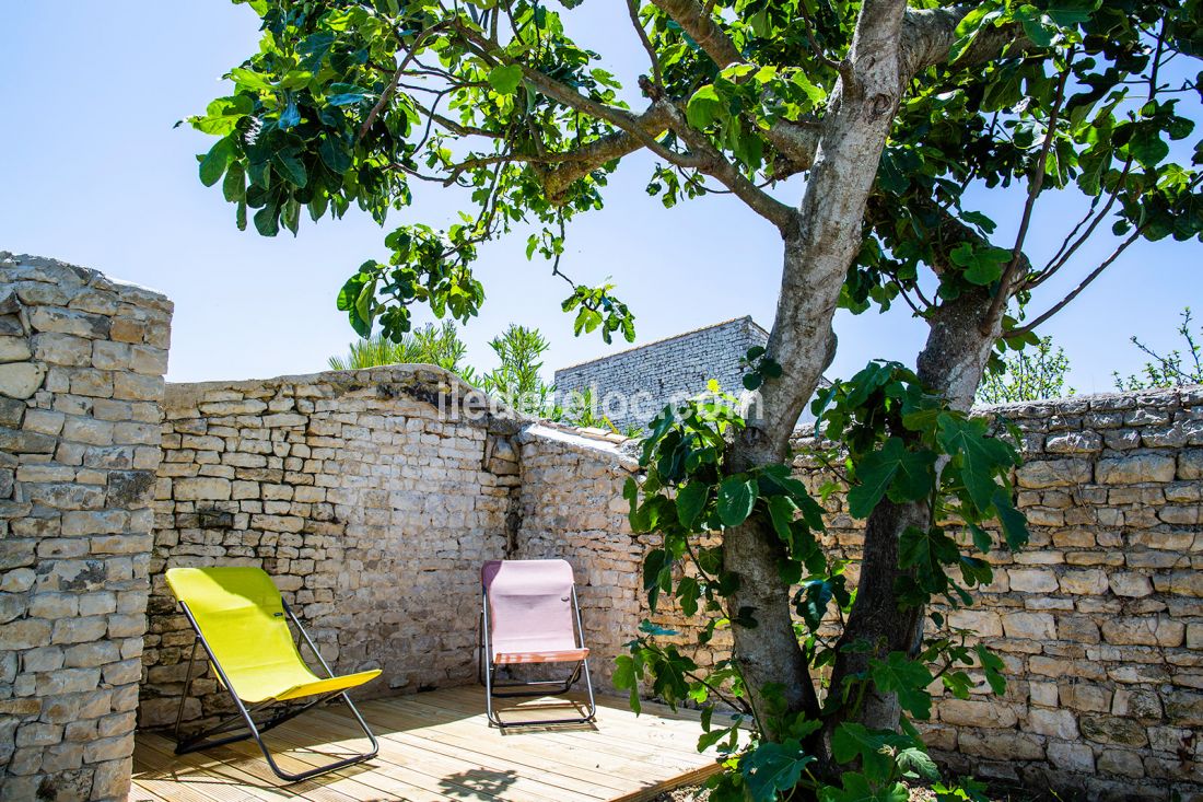 Photo 15 : TERRASSE d'une maison située à Sainte-Marie-de-Ré, île de Ré.