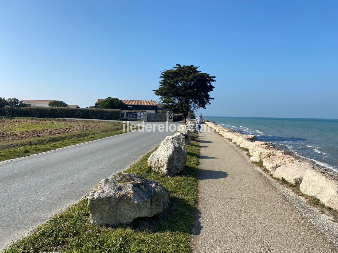 Photo 23 : AUTRE d'une maison située à La Flotte-en-Ré, île de Ré.