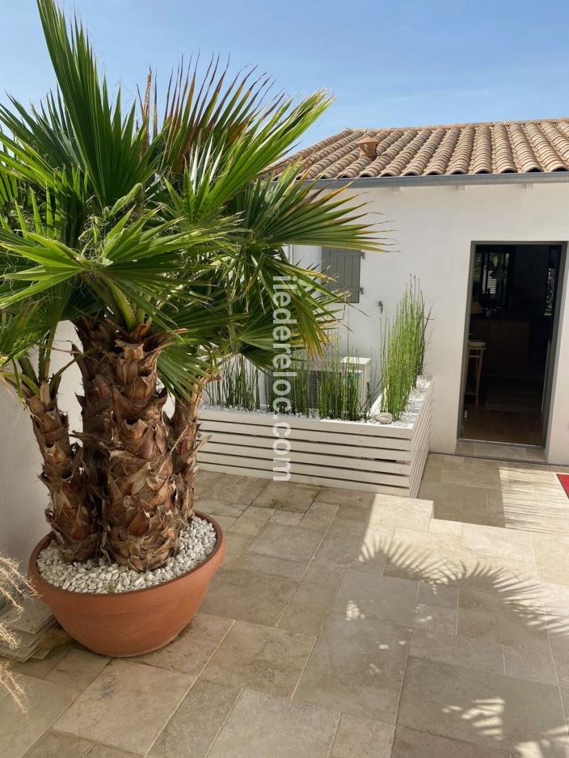 Photo 13 : PATIO d'une maison située à La Flotte-en-Ré, île de Ré.