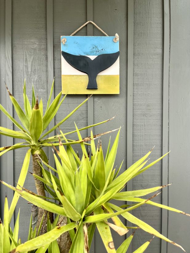 Photo 9 : NC d'une maison située à Sainte-Marie-de-Ré, île de Ré.