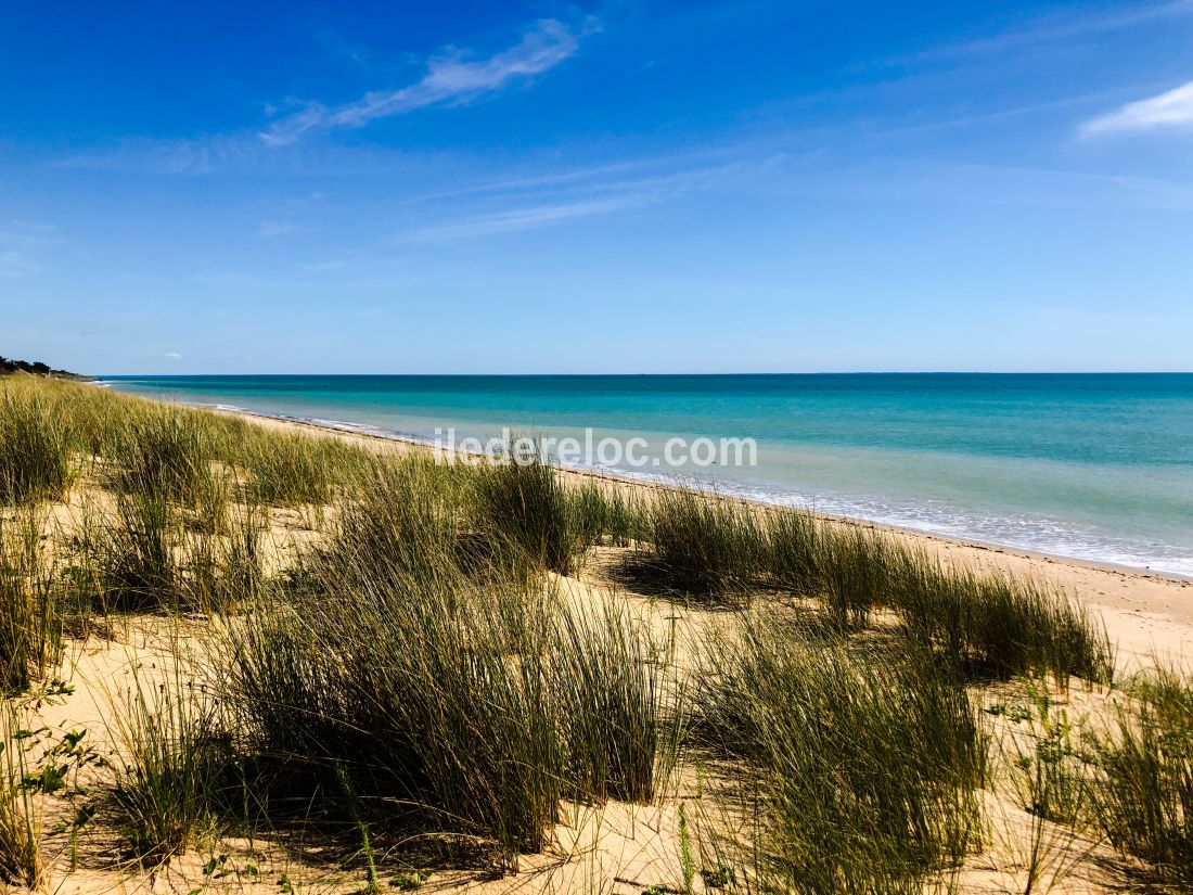 Photo 15 : NC d'une maison située à La Couarde-sur-mer, île de Ré.