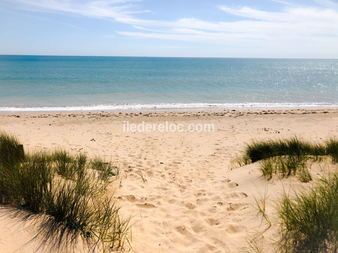 Photo 20 : NC d'une maison située à La Couarde-sur-mer, île de Ré.