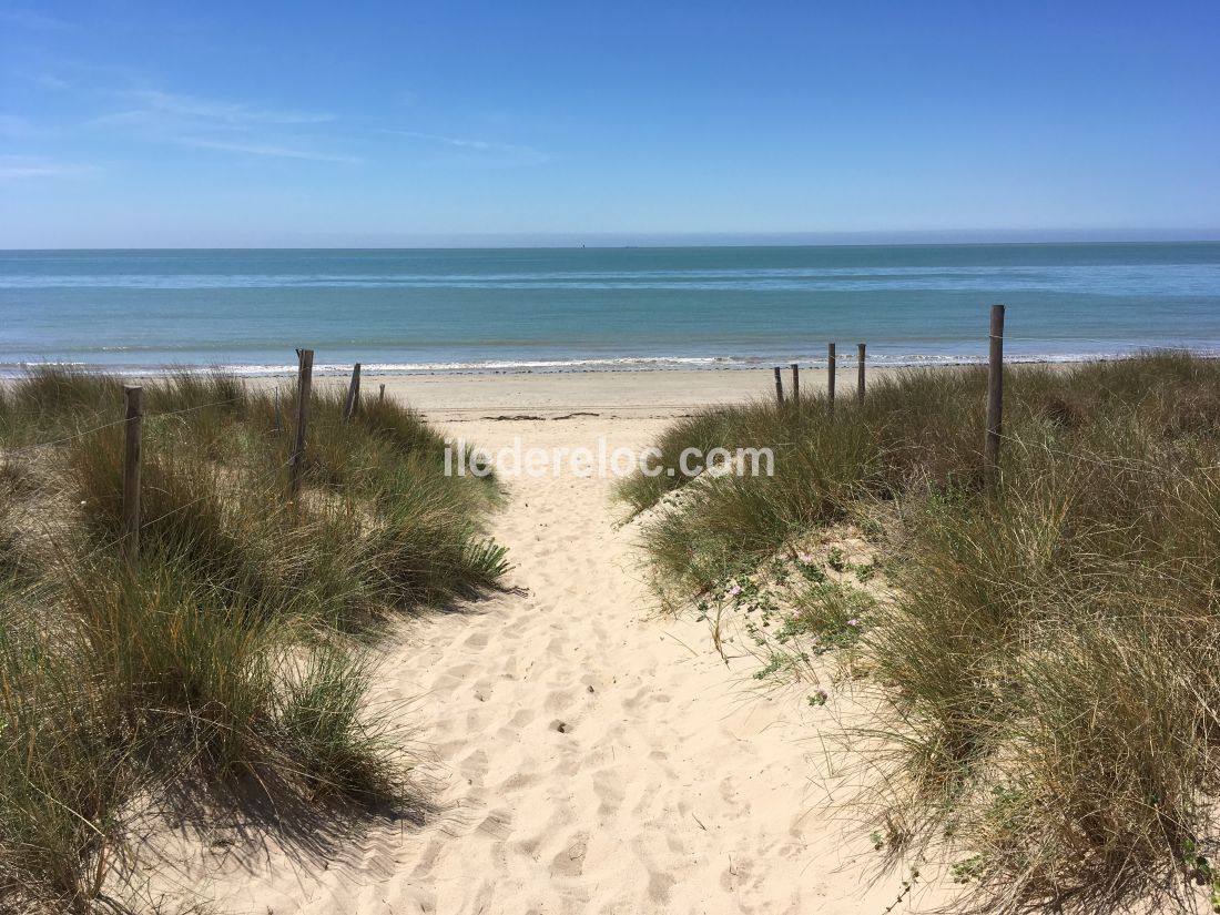 Photo 23 : NC d'une maison située à La Couarde-sur-mer, île de Ré.