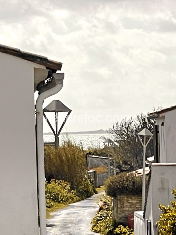 Photo 21 : EXTERIEUR d'une maison située à Sainte-Marie-de-Ré, île de Ré.