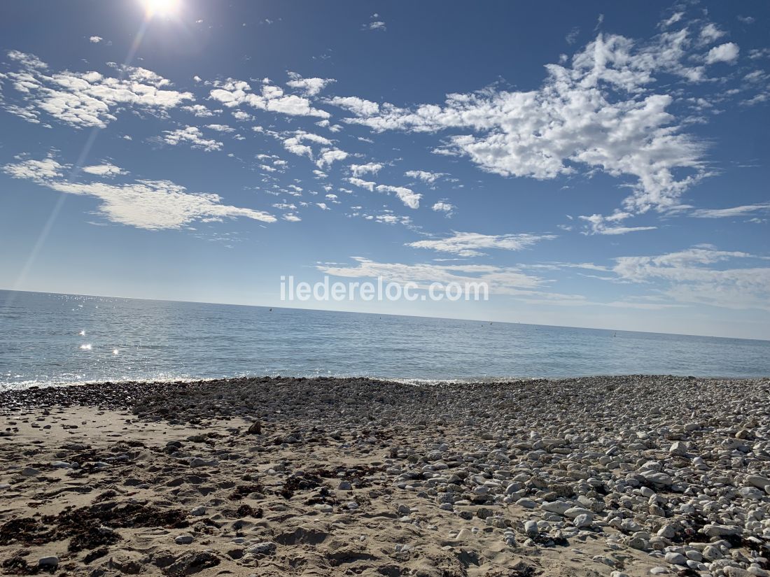 Photo 10 : NC d'une maison située à Le Bois-Plage-en-Ré, île de Ré.