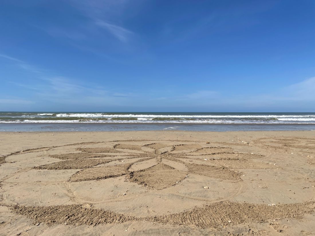 Photo 26 : AUTRE d'une maison située à Le Bois-Plage-en-Ré, île de Ré.