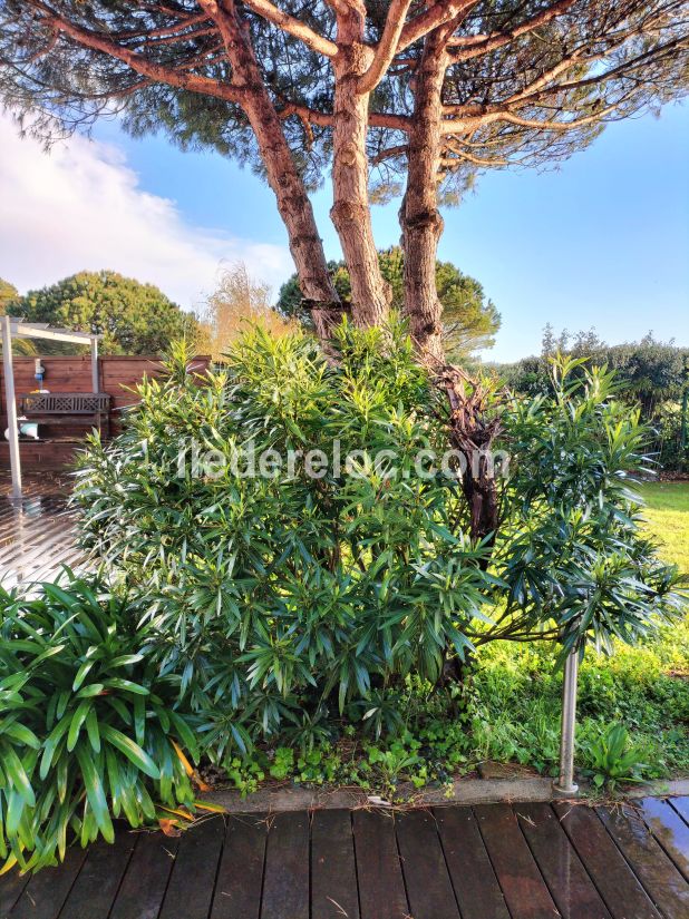 Photo 13 : JARDIN d'une maison située à Loix, île de Ré.