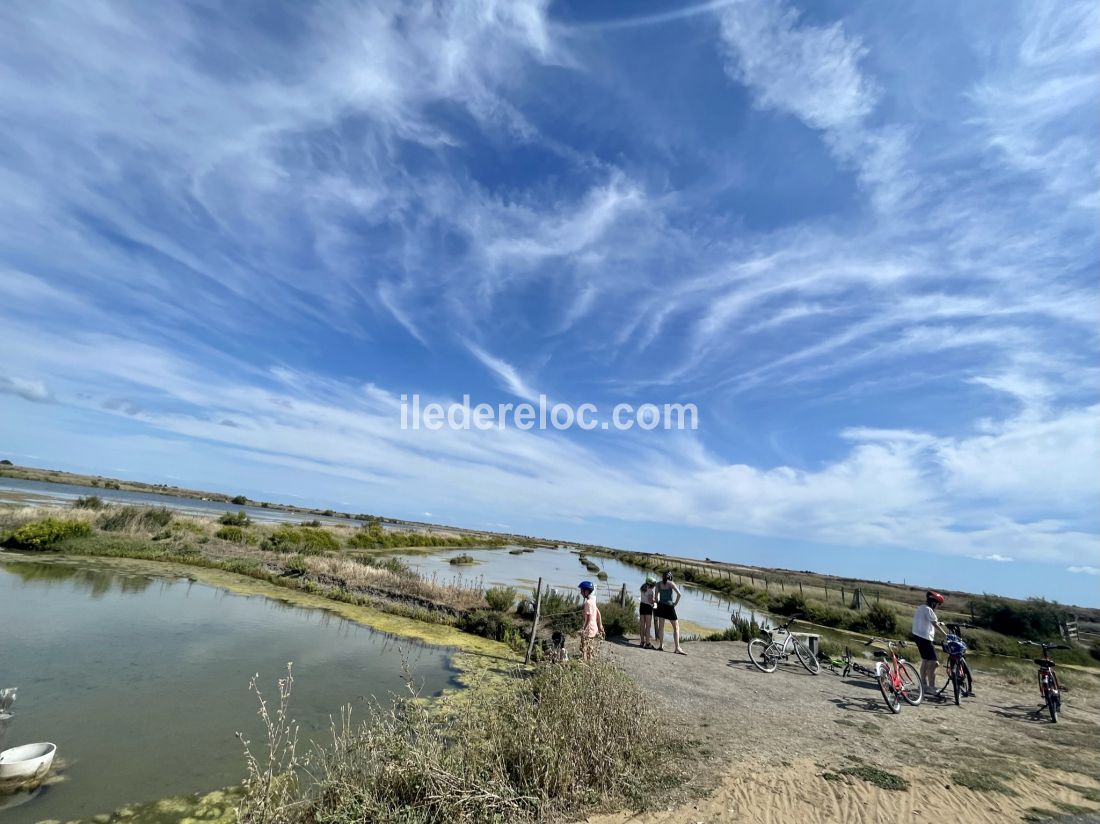 Photo 26 : NC d'une maison située à Le Bois-Plage-en-Ré, île de Ré.