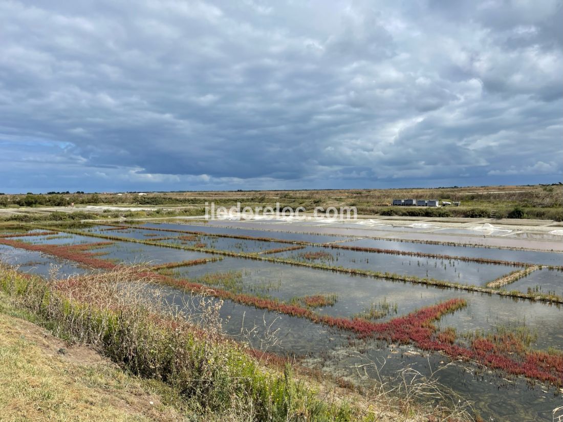 Photo 24 : NC d'une maison située à Le Bois-Plage-en-Ré, île de Ré.