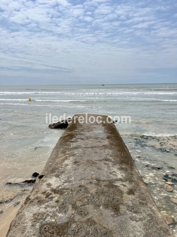 Photo 32 : NC d'une maison située à Le Bois-Plage-en-Ré, île de Ré.