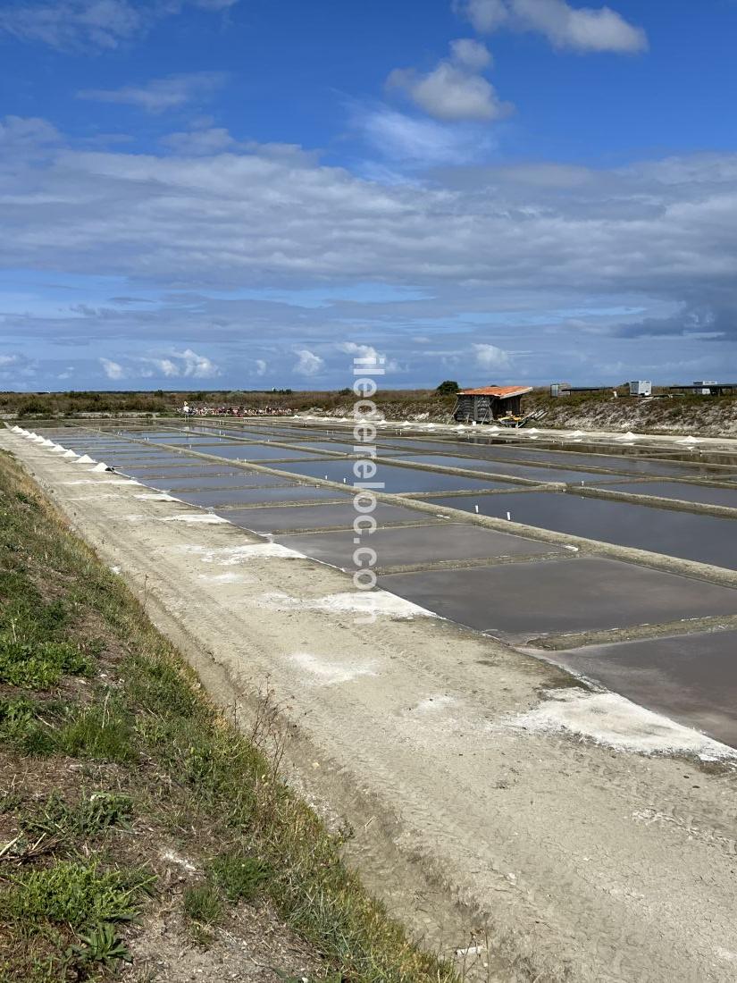 Photo 31 : NC d'une maison située à Le Bois-Plage-en-Ré, île de Ré.