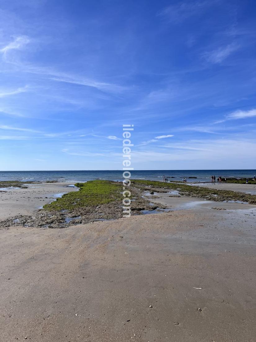 Photo 54 : NC d'une maison située à Le Bois-Plage-en-Ré, île de Ré.