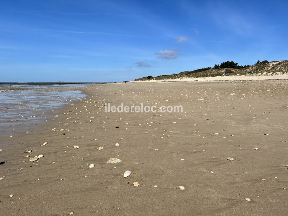 Photo 43 : NC d'une maison située à Le Bois-Plage-en-Ré, île de Ré.