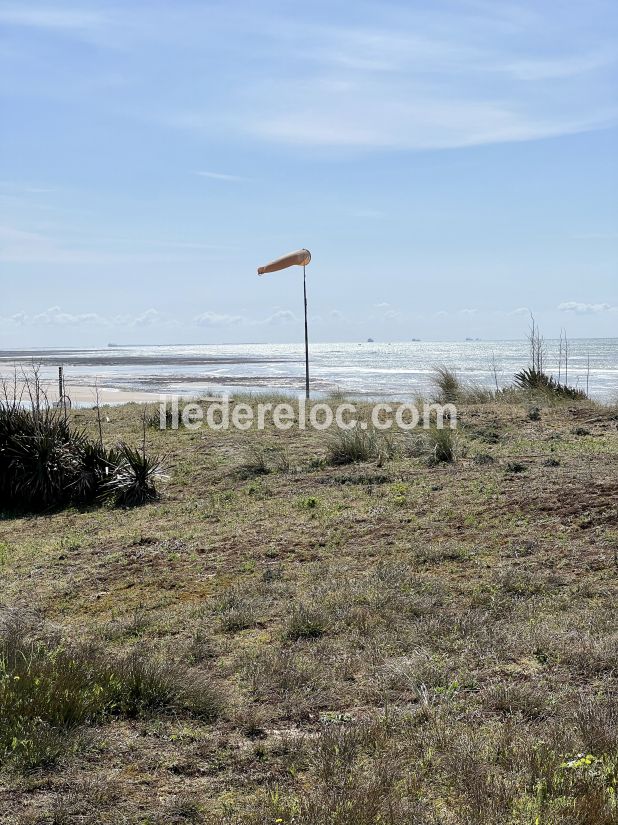 Photo 42 : NC d'une maison située à Le Bois-Plage-en-Ré, île de Ré.