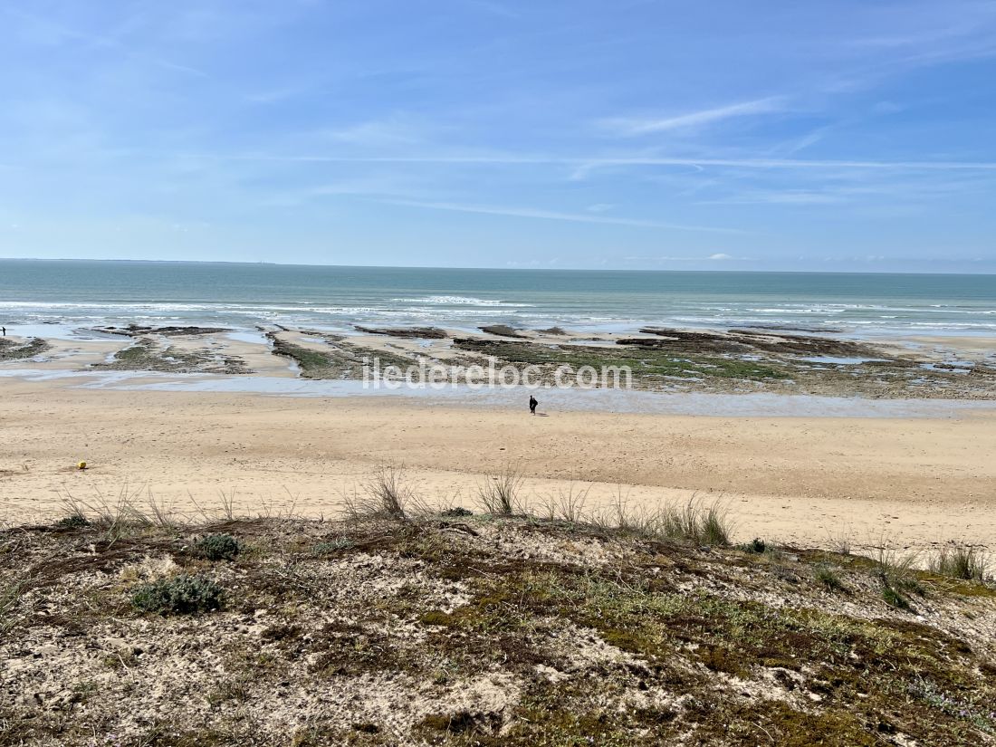 Photo 40 : NC d'une maison située à Le Bois-Plage-en-Ré, île de Ré.