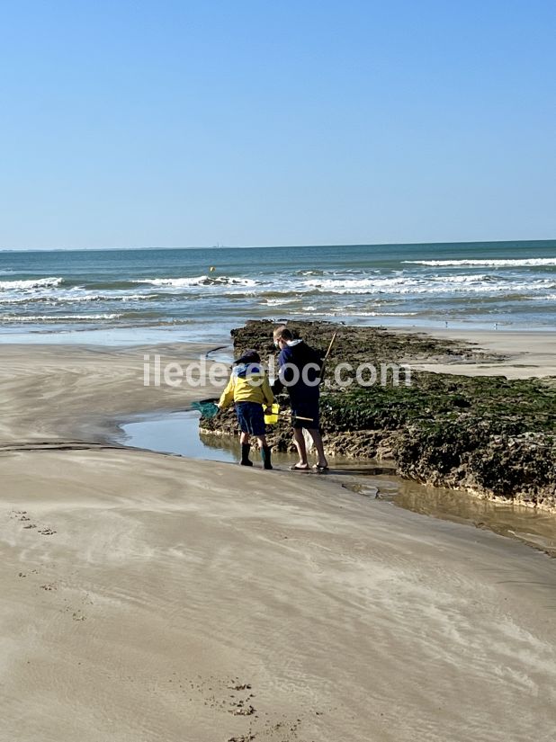 Photo 37 : NC d'une maison située à Le Bois-Plage-en-Ré, île de Ré.