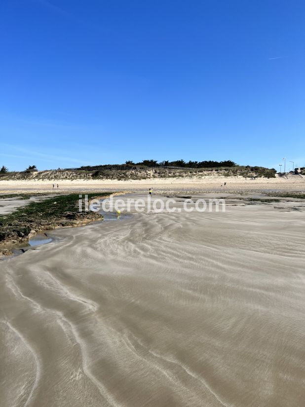 Photo 33 : NC d'une maison située à Le Bois-Plage-en-Ré, île de Ré.