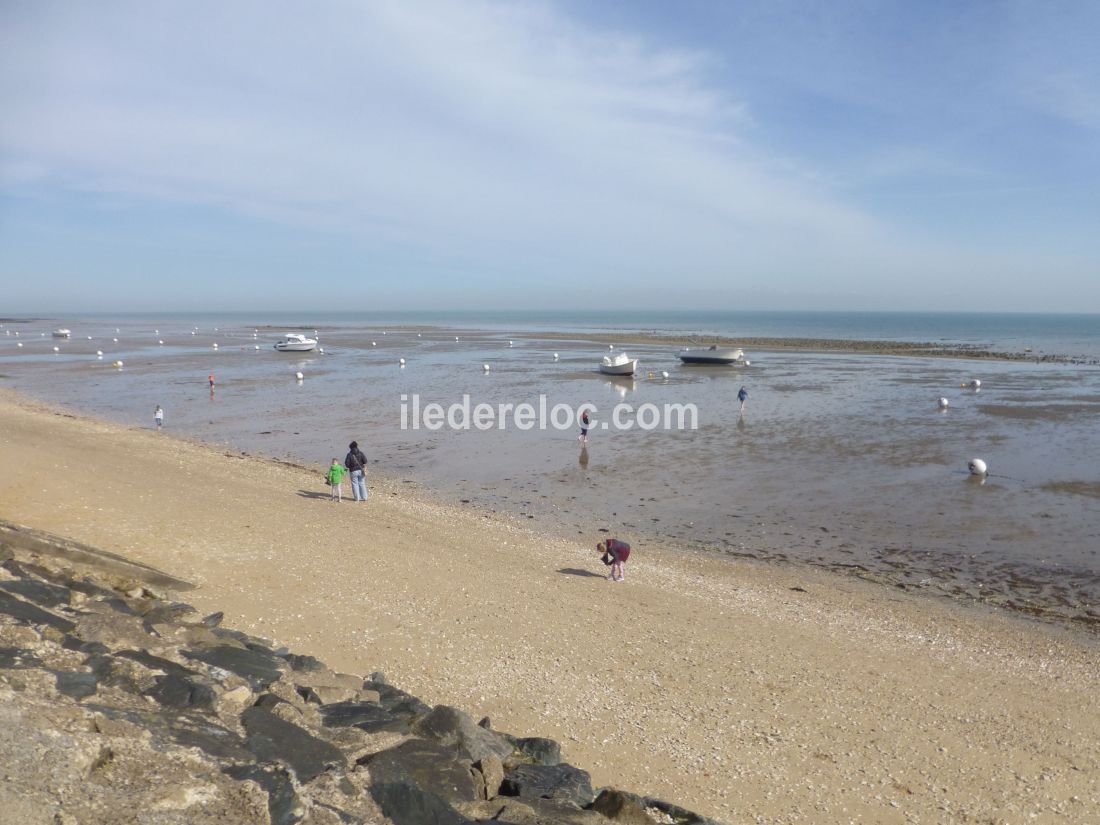 Photo 20 : NC d'une maison située à La Flotte-en-Ré, île de Ré.