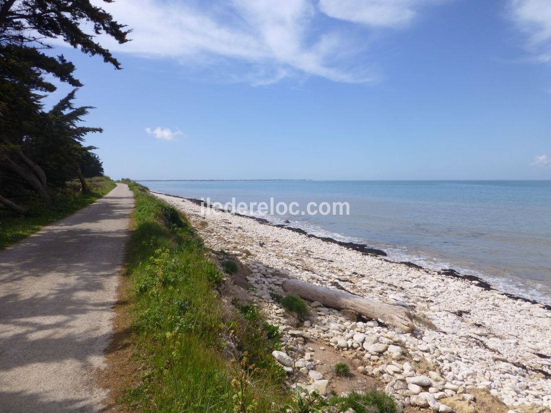 Photo 25 : NC d'une maison située à La Flotte-en-Ré, île de Ré.