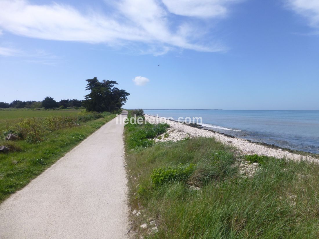 Photo 30 : NC d'une maison située à La Flotte-en-Ré, île de Ré.