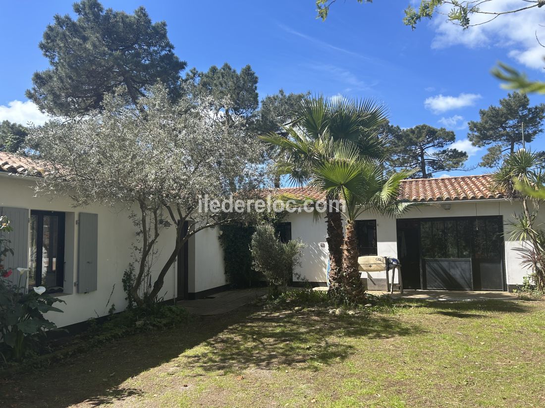 Photo 10 : NC d'une maison située à Sainte-Marie-de-Ré, île de Ré.